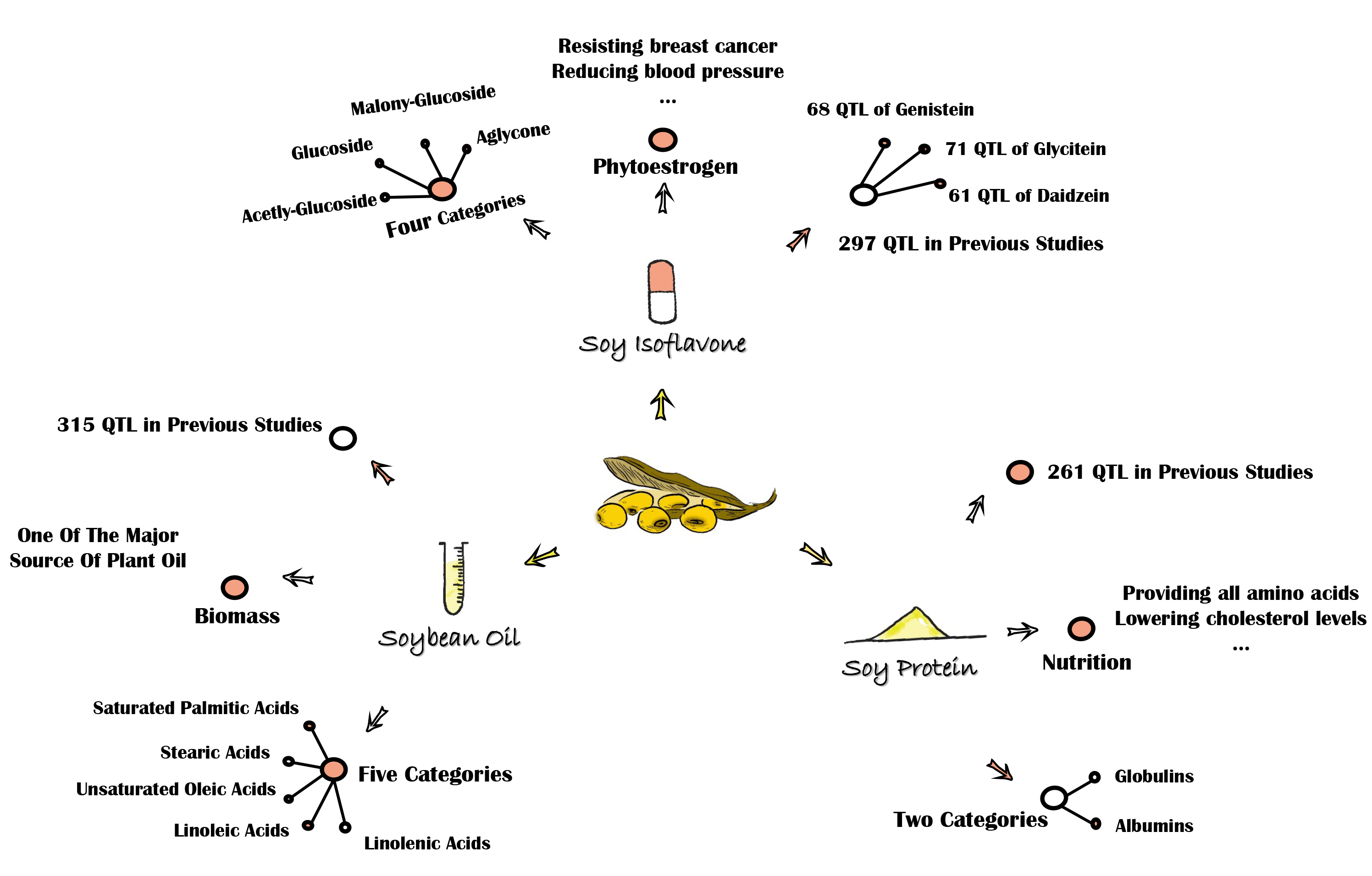 Novel QTL And Meta-QTL Mapping For Major Quality Traits In Soybean | CHEN